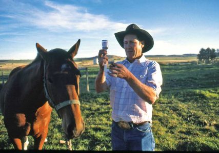 The Disappearance of Large-Animal Vets Image